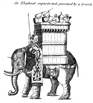Spears: An Elephant caparisoned, governed by a Zoarch