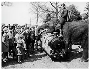 Chessington: ELEPHANT & CHILDREN