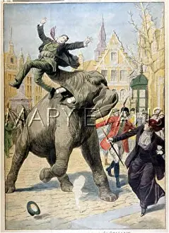 Aalst: ELEPHANT/CIGAR 1914