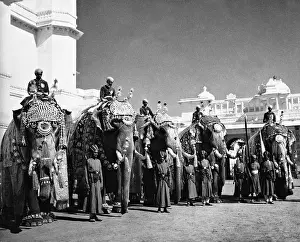 Rajasthan: Elephant before the City Palace in Udaipur