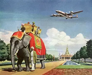Conveys: Elephant Conveys Rajah, India