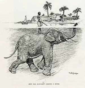 Breathes: How the elephant crosses a river