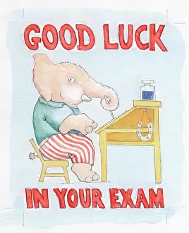 Exam: Elephant doing his exams