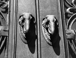 Cutler: ELEPHANT DOORKNOCKERS