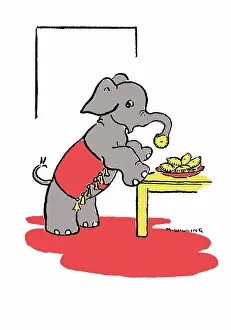 Willing: Elephant eating mince pies