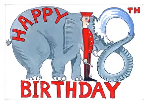 Curled: Elephant Eighteenth Birthday