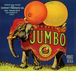 Oversized: Elephant Fruit Label