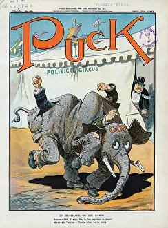 Tattered: An elephant on his hands