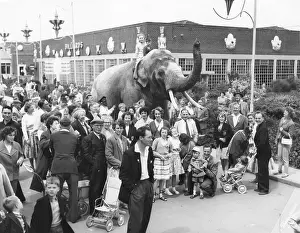 Filey: An elephant with holidaymakers at Butlins, Filey
