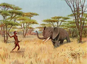Hurl: Elephant Hunt - Africa