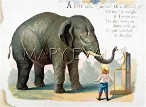 ELEPHANT/JUMBO 1894