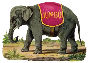 Elephant - Jumbo Scrap