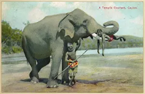 Keepers: ELEPHANT/KEEPERS 1930S