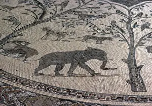 Volubilis: Elephant Mosaic at Volubilis