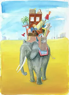 Wardrobe: Elephant moving house