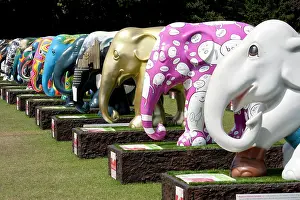 Awareness: Elephant Parade DP