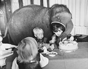 Whisk: Elephant at a party