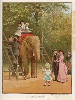 Embark: ELEPHANT RIDE