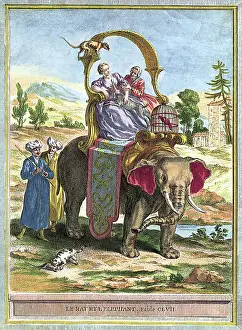 Closely: Elephant Ride