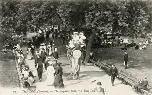 Zoos: Elephant Ride at London Zoo