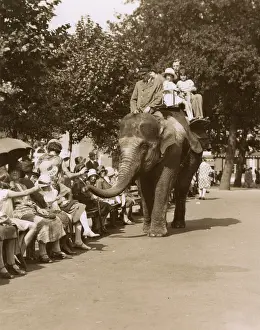 Stereo: Elephant ride, Zoological Gardens, Regents Park, London