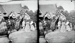 1870 1900: Elephant rides