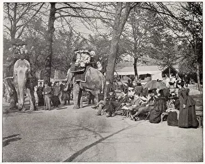 Zoos: Elephant Rides in Regent's Park Zoo