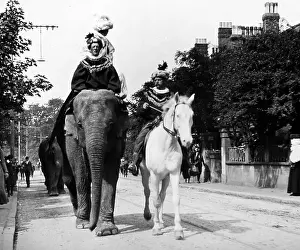 Sangers: Elephant, Sangers Circus parade