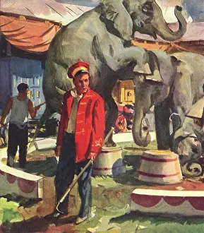 Stools: Elephant and Trainer
