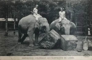 Outremer: Elephant training, 1907 Colonial Exhibition, Jardin