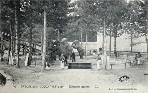 Outremer: Elephant training, 1907 Colonial Exhibition, Jardin