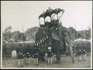 C1920: ELEPHANT TRANSPORT C1920