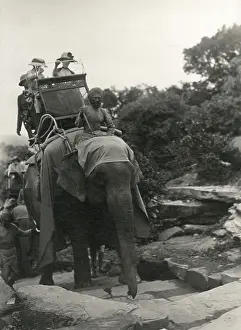 C1920: ELEPHANT TRANSPORT C1920