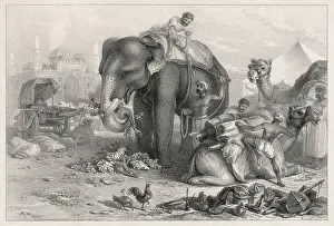 Unloads: ELEPHANT UNLOADS BAGGAGE