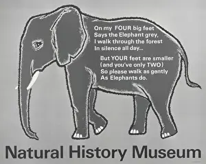 Elephant; Walk Quietly