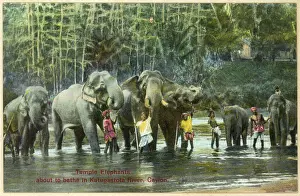 Keepers: ELEPHANTS/BATHING 1930S