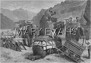 Decauville: ELEPHANTS CARRYING