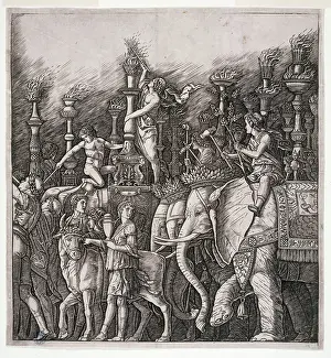 Torches: Elephants carrying torche