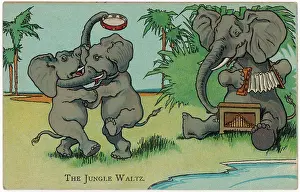 Accordeon: ELEPHANTS DANCING