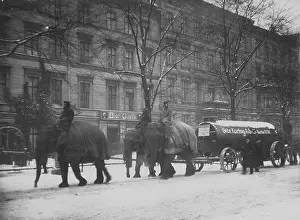 Hagenbeck: Elephants as draft animals in Berlin, 1917