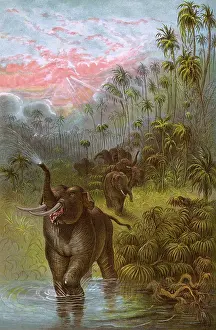 Trumpeting: ELEPHANTS/GRISET 1889