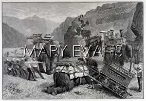 Decauville: ELEPHANTS/& RAILWAY