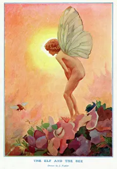 Encounter: The Elf and the Bee by John Napier