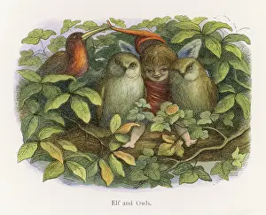 Fraternise: Elf with two owls