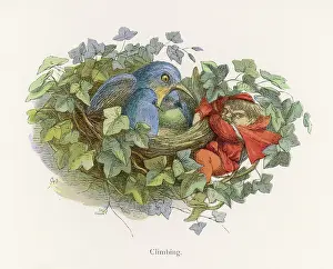 Mischievous: Elf raiding birds nest