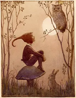 Fairyland: Elf sitting on toadstool looking at owl