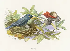 Mischievous: Elf stealing bird's egg