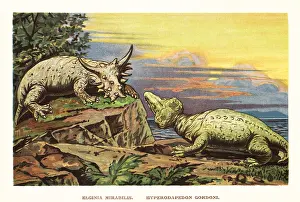 Carnian: Elginia mirabilis (left), Hyperodapedon gordoni (right)