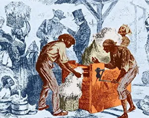 Moveable: Eli Whitney, Cotton Gin, 1869