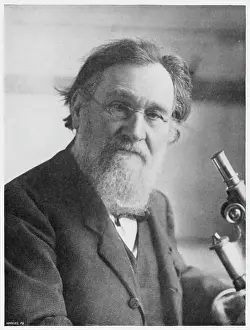 Ilich: Elie Metchnikoff